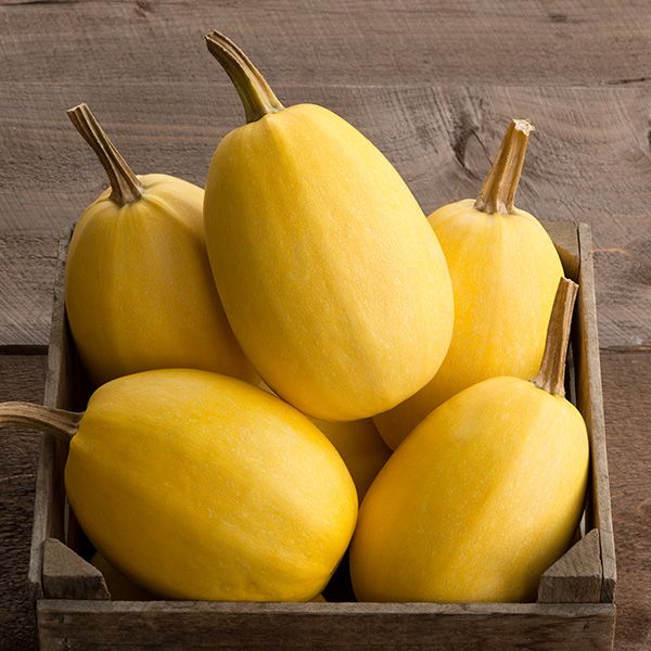 Spaghetti squash in a wooden crate; bright yellow winter squash, 5 fruits on Tampa Home & Garden Store
