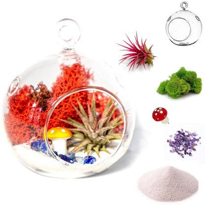 4" Air Plant Terrarium Kit | Glass Globe - Tampa soil911.com