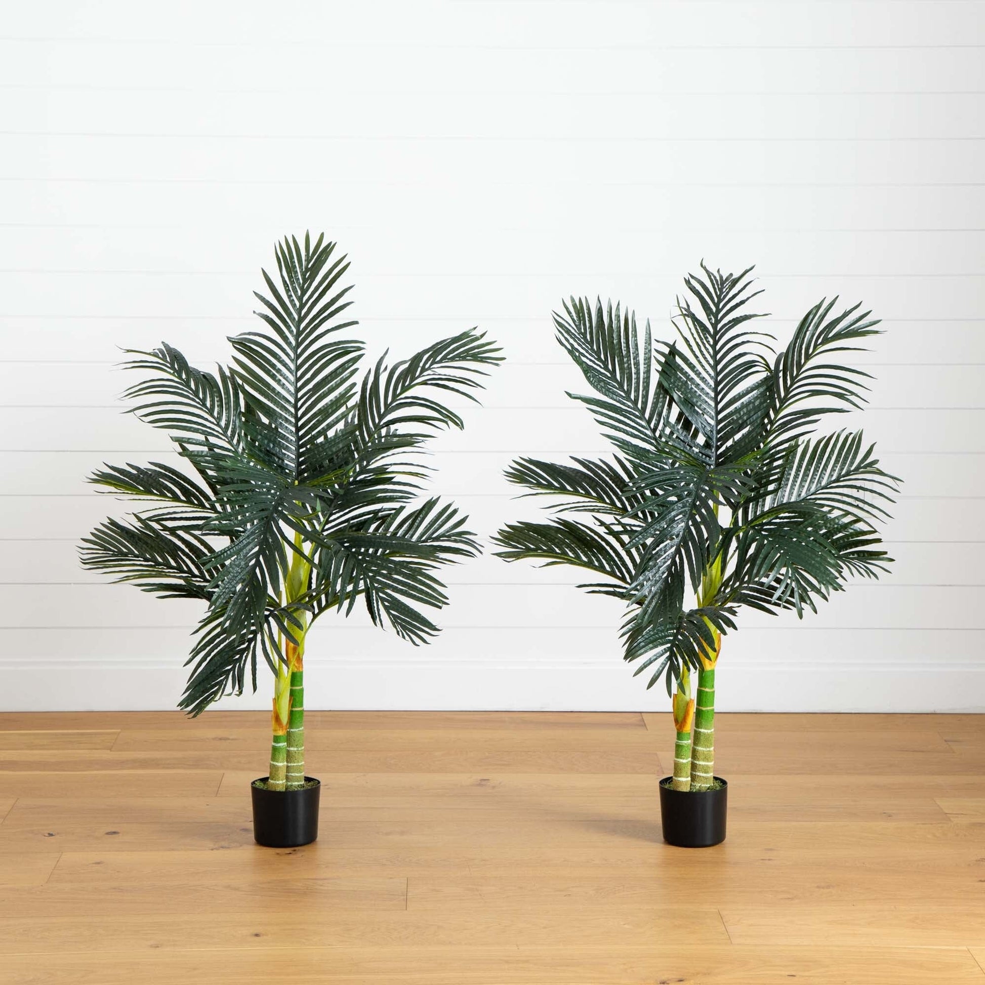 4’ Artificial Double Stalk Golden Cane Palm Tree-  Set of 2 - Tampa Home & Garden Store
