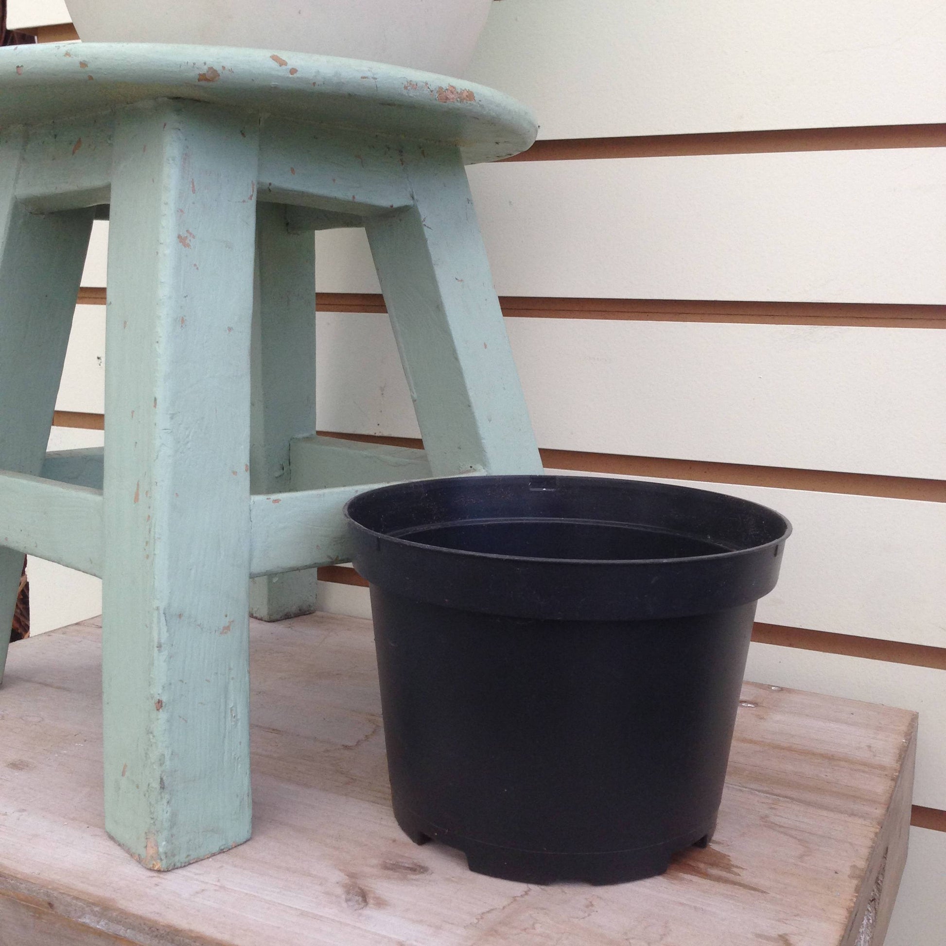4" Growing Pot - Tampa Home & Garden Store