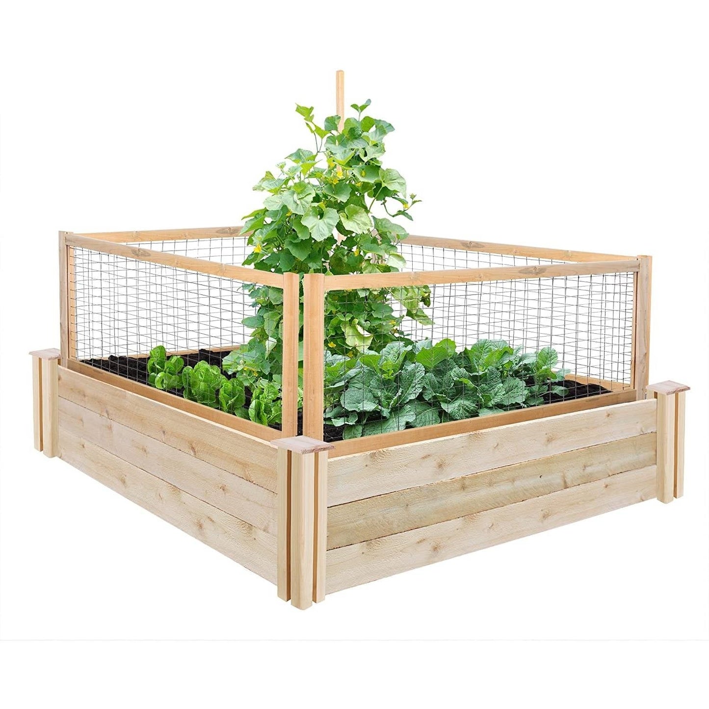 4 Pack Cedar Garden Trellis Set - 45 x 23.5 inch Each - Made in USA - Tampa Home & Garden Store
