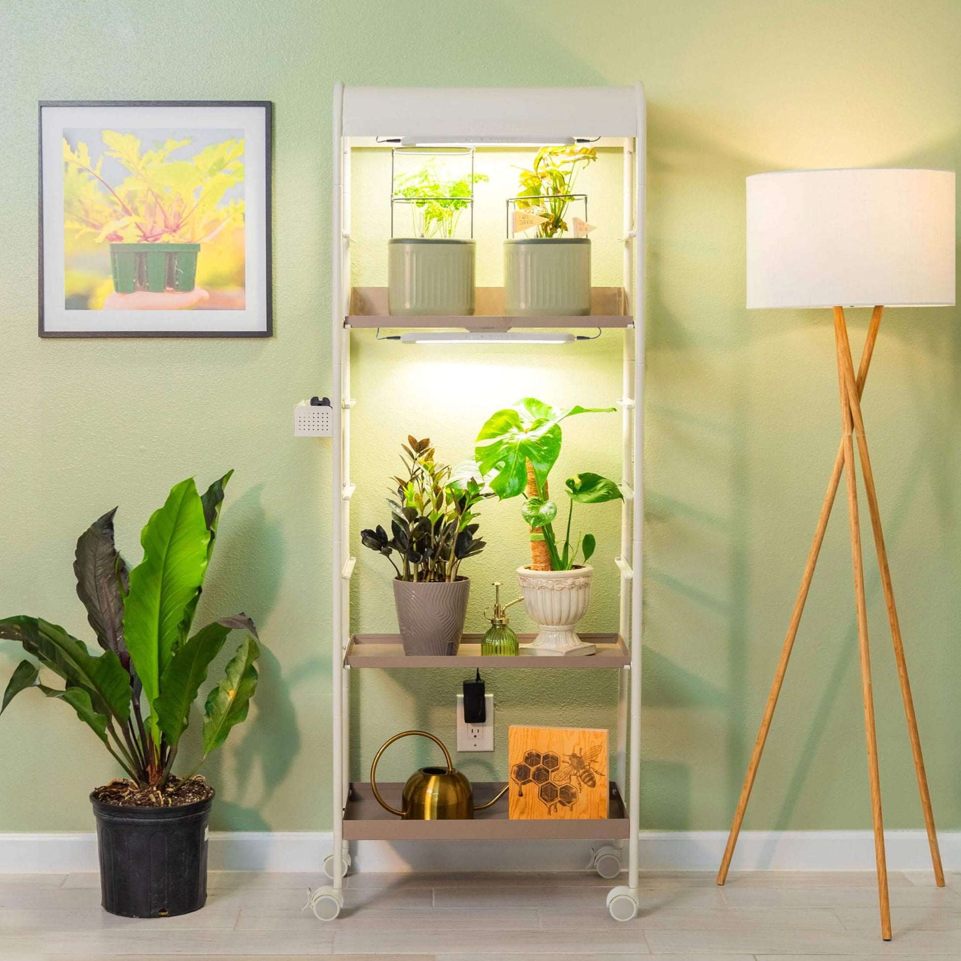 4 Tier Grow Light Garden - Tampa Home & Garden Store