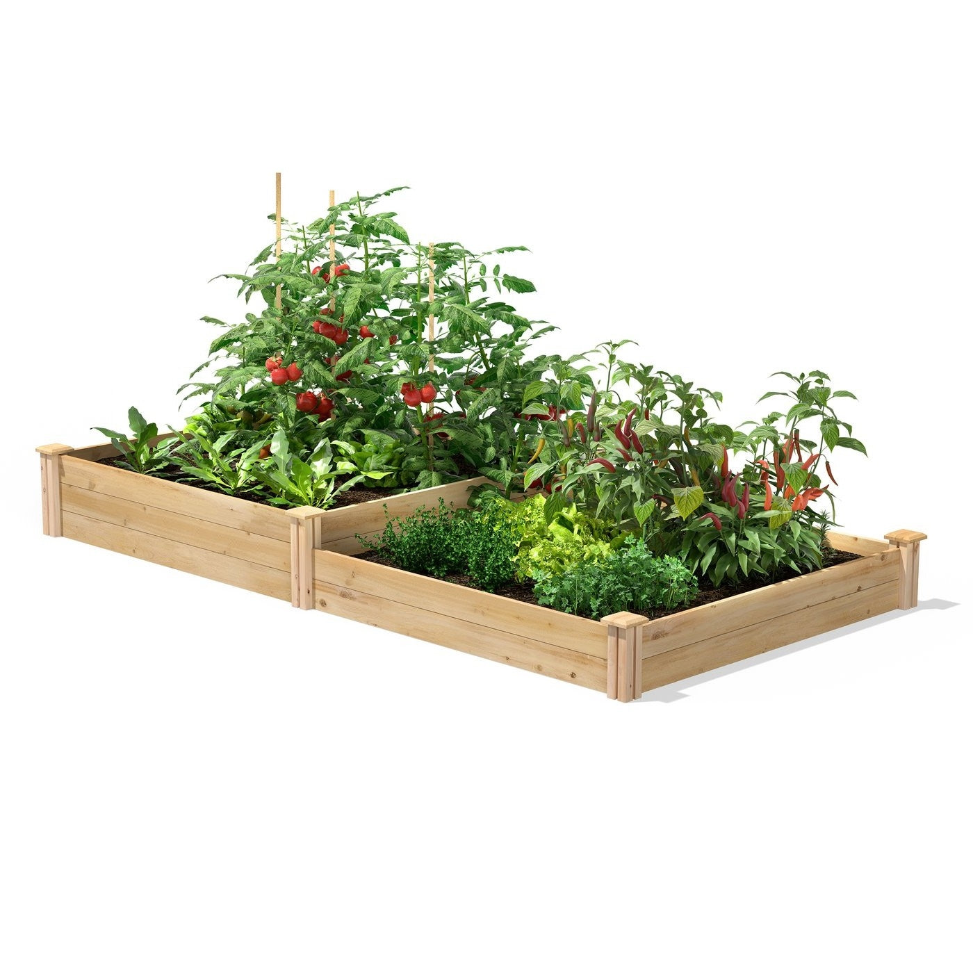 4 ft x 8 ft Cedar Wood 2 Tier Raised Garden Bed - Made in USA - Tampa Home & Garden Store
