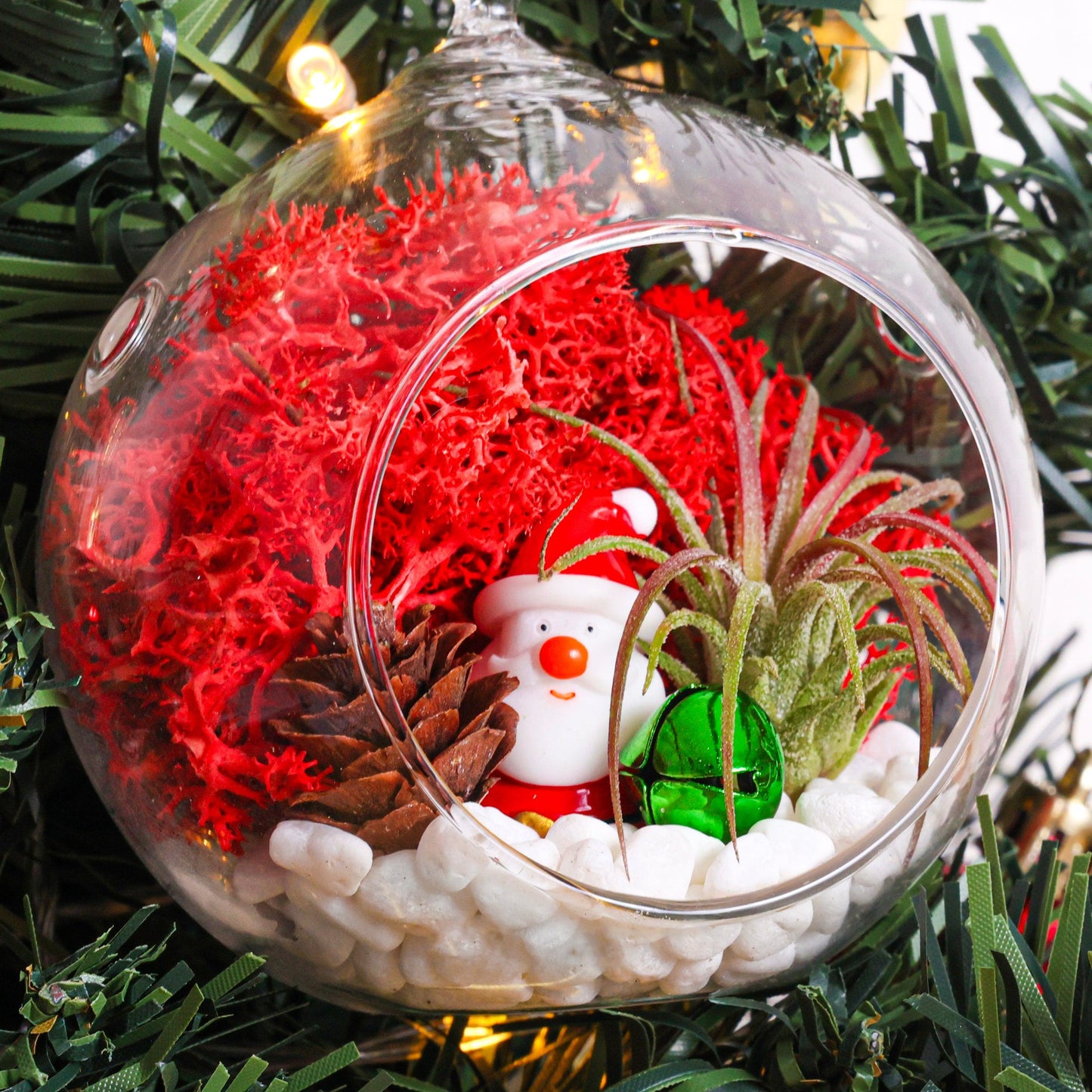 4" Holiday Ornament Terrarium Kit | Glass Globe