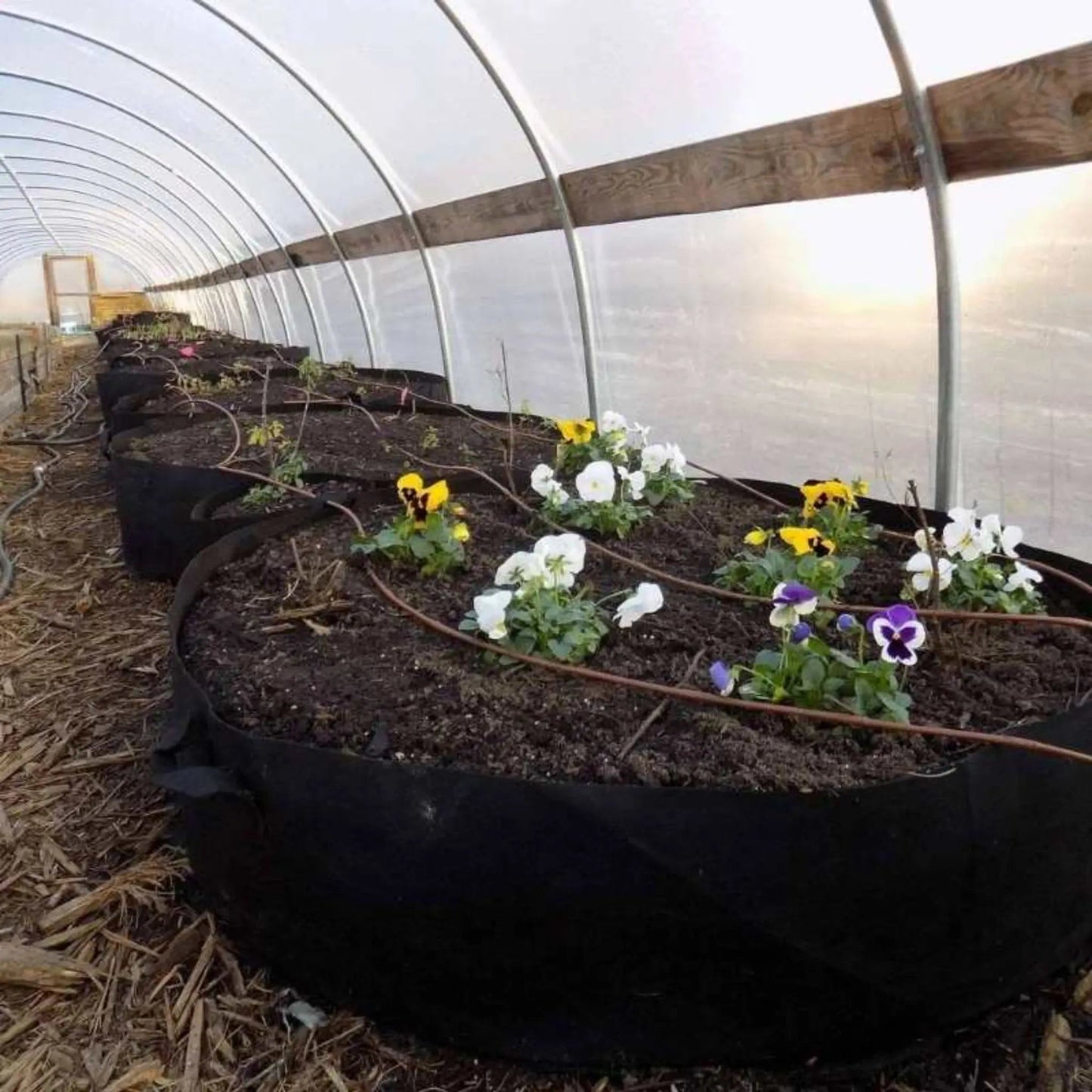 Sacs de culture de 100 gallons - Sacs de culture pour jardin surélevé