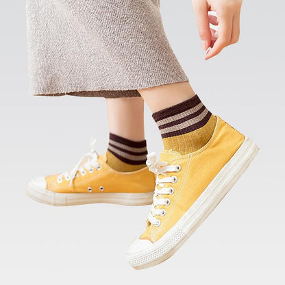 Stevvex ankle socks four-pair cotton set with brown striped cuffs on Tampa Home & Garden Store