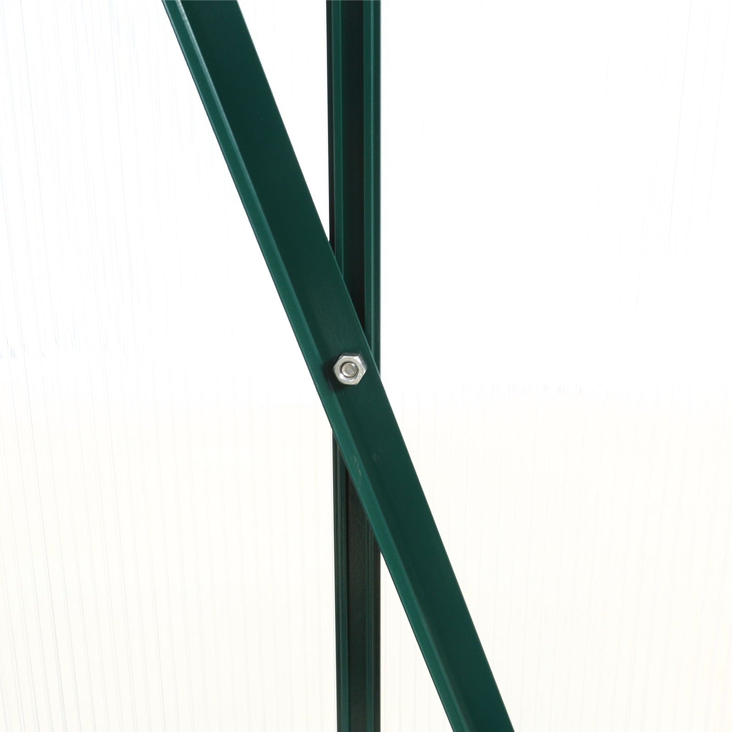 Heavy Duty Polycarbonate Greenhouse Kit and Door