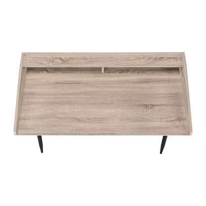 Computer Desk for Home Office with Sturdy Shelves
