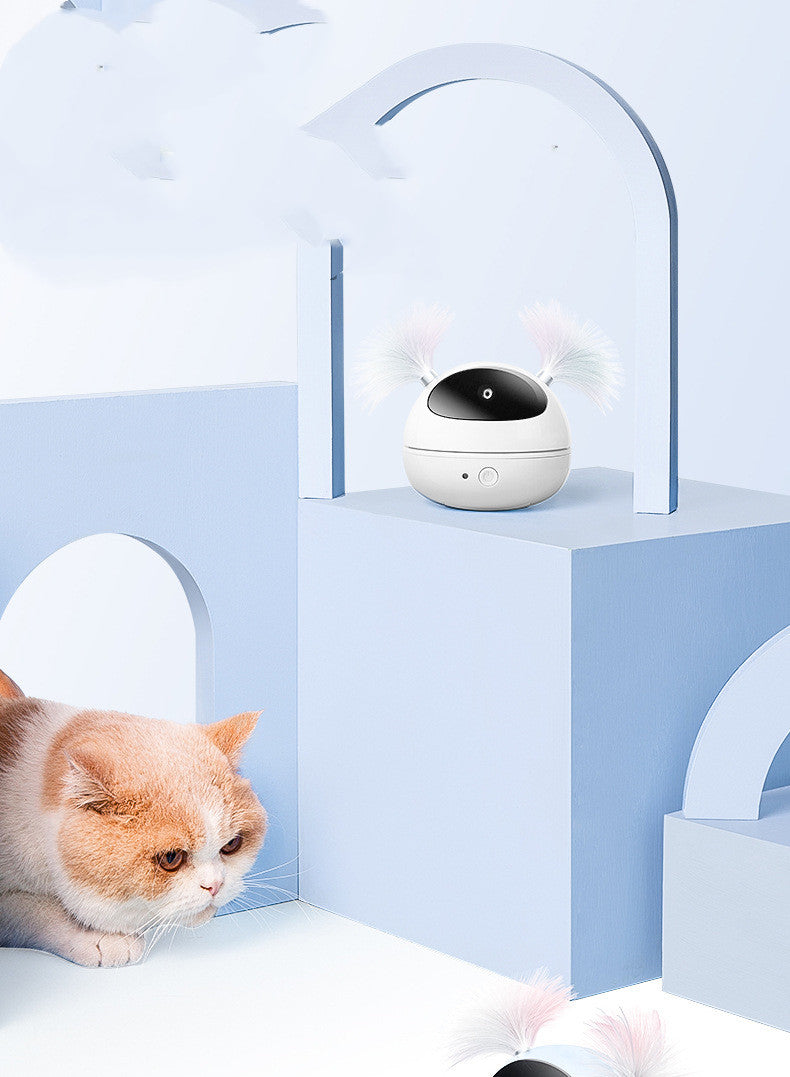 Automatic electric cat toy by Sell My Stuff; white sphere with brushes on a blue display arch on Tampa Home & Garden Store