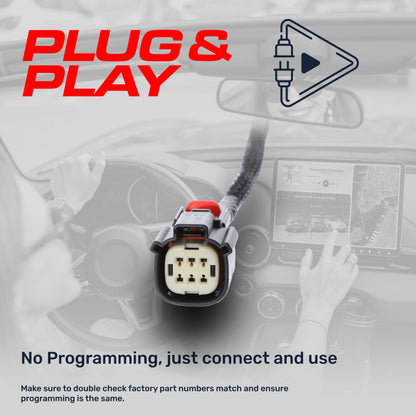 Master Tailgaters plug-and-play backup camera connector harness, beige multi-pin plug on Tampa Home & Garden Store