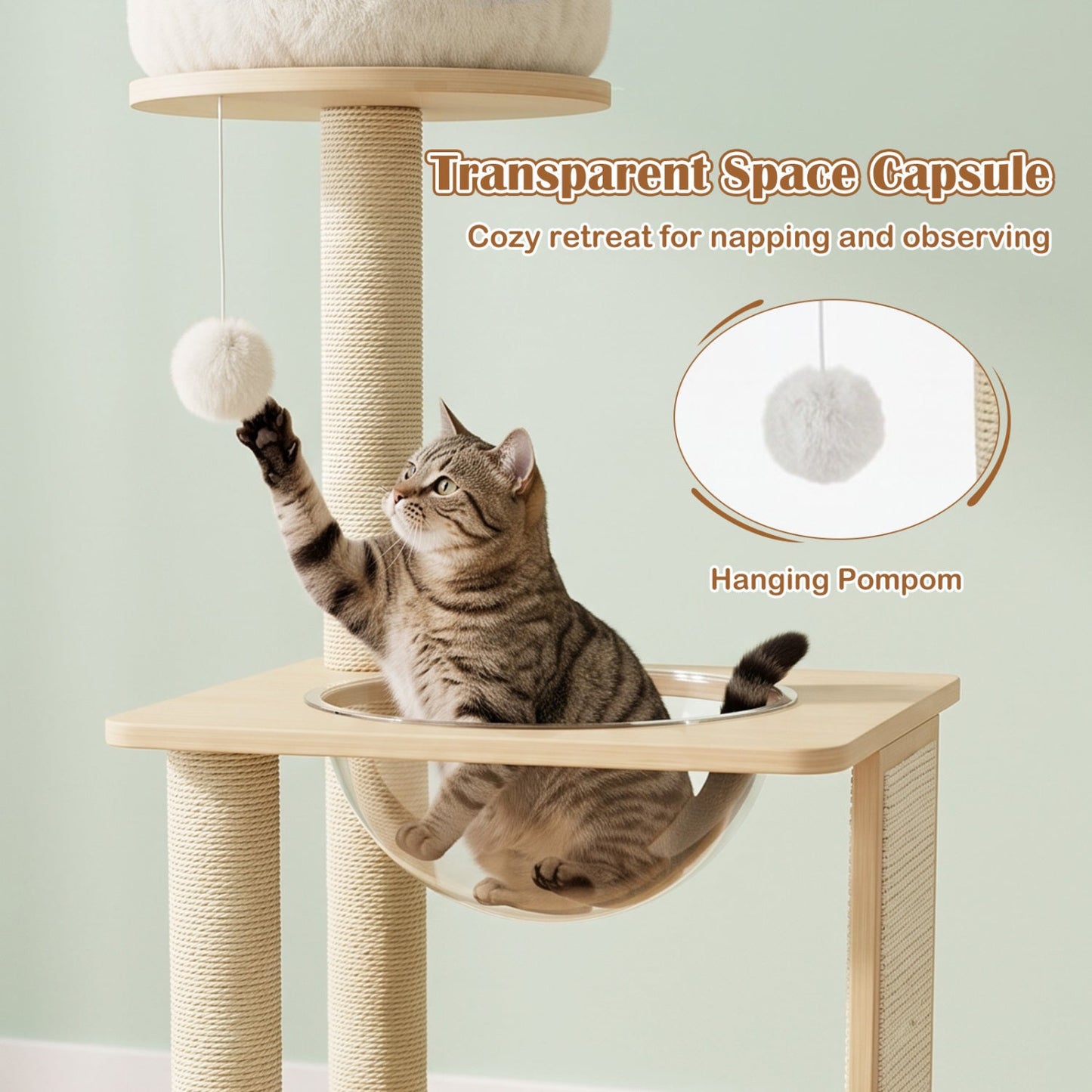 40in solid wood cat tree with space capsule and sisal posts, transparent pod by DirectDeals on Tampa Home & Garden Store
