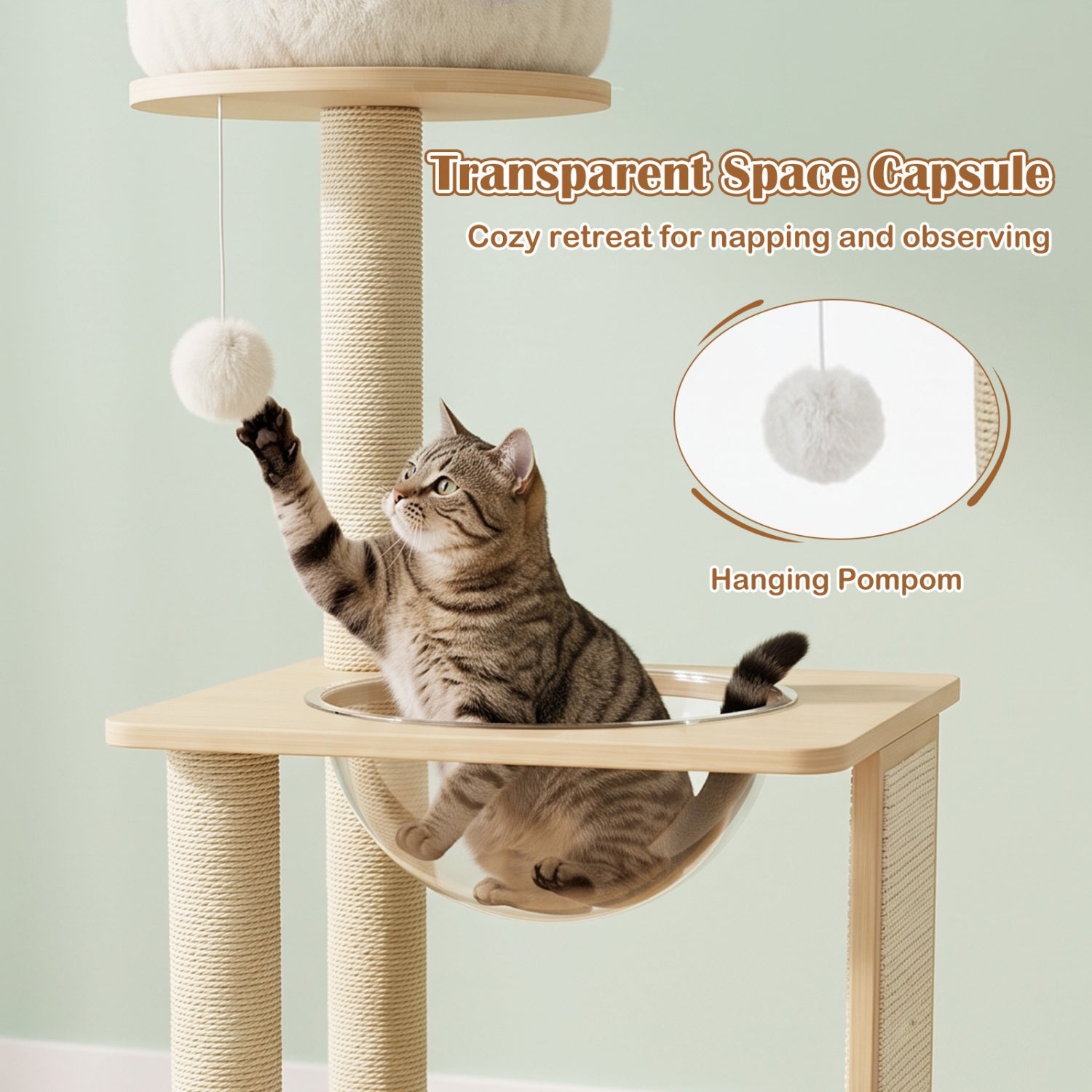 40in solid wood cat tree with space capsule and sisal posts, transparent pod by DirectDeals on Tampa Home & Garden Store