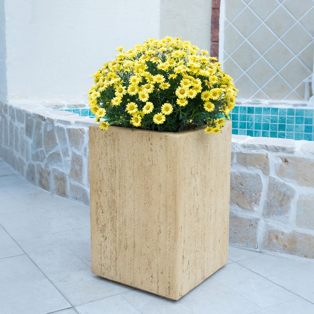 Modern Outdoor Planter by HouseOfZazla beige textured pot with yellow daisies beside steps on Tampa Home & Garden Store