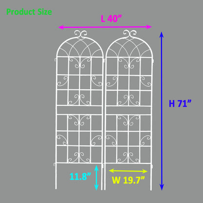 Metal Trellis For Climbing Plants And Vines
