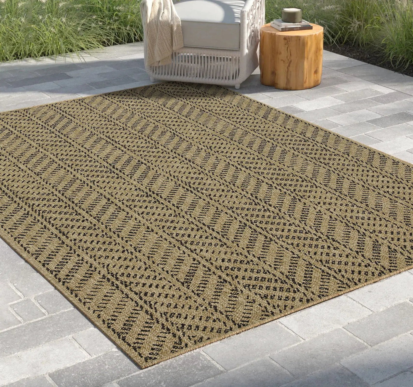 Earth Indoor Outdoor Area Rug for Living Rooms