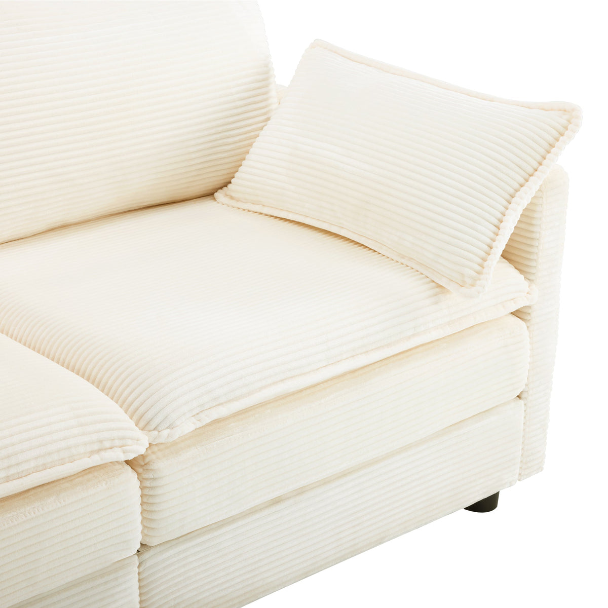 The Plush Cloud and Modular 2 Seater Sofa