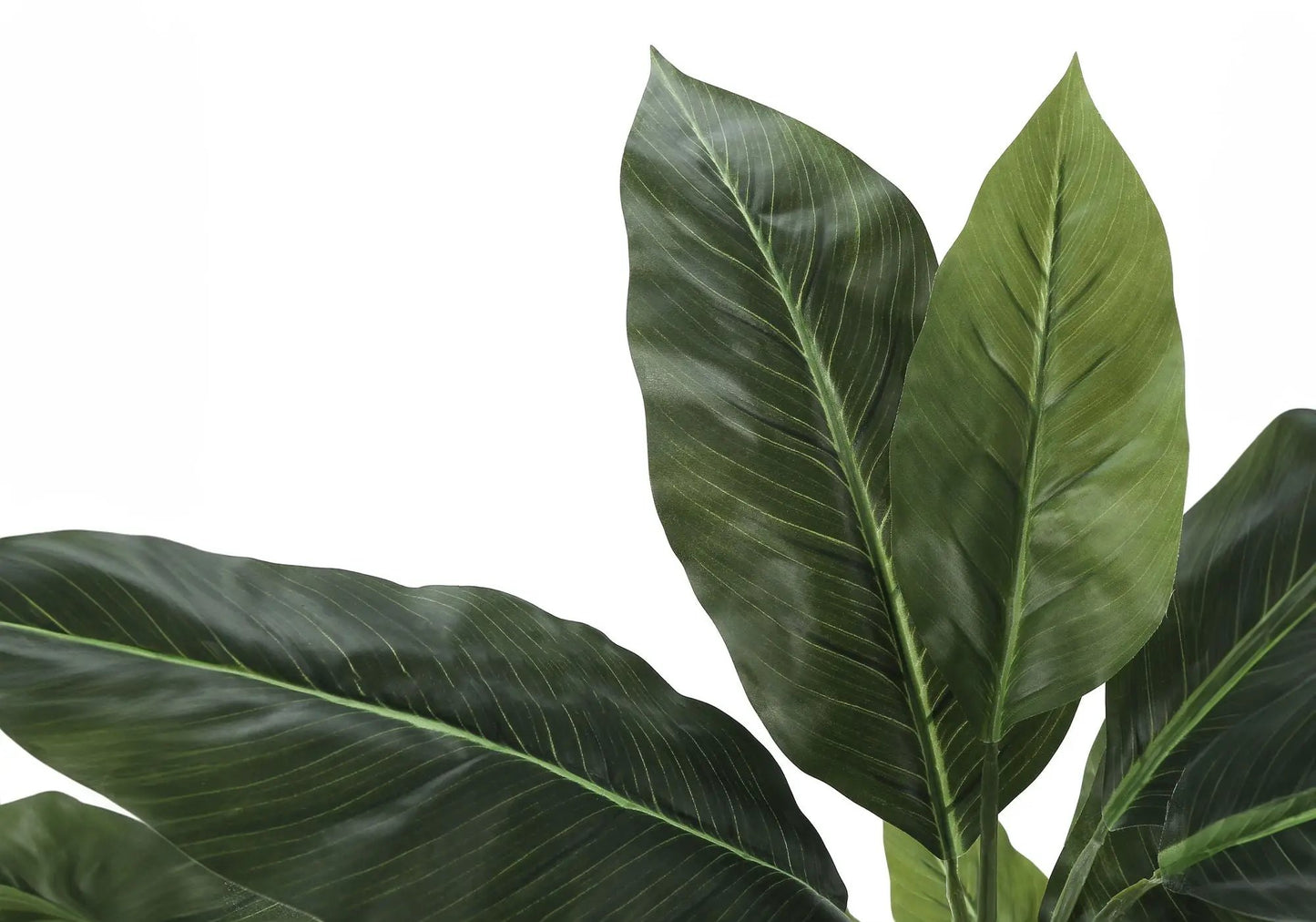 42in artificial evergreen plant with large glossy green leaves for indoor decorative use on Tampa Home & Garden Store