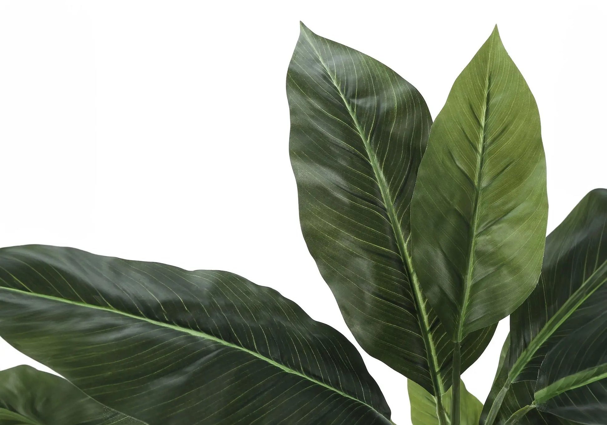 42in artificial evergreen plant with large glossy green leaves for indoor decorative use on Tampa Home & Garden Store