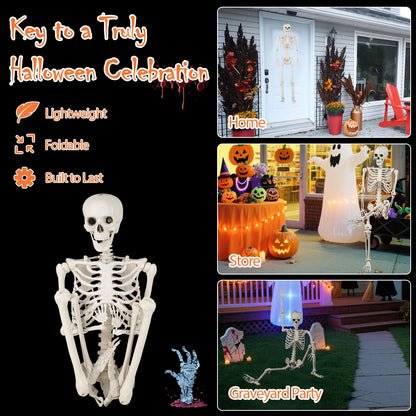 5.4 ft life-size Halloween skeleton cardboard cutout DirectDeals for porch display on Tampa Home & Garden Store