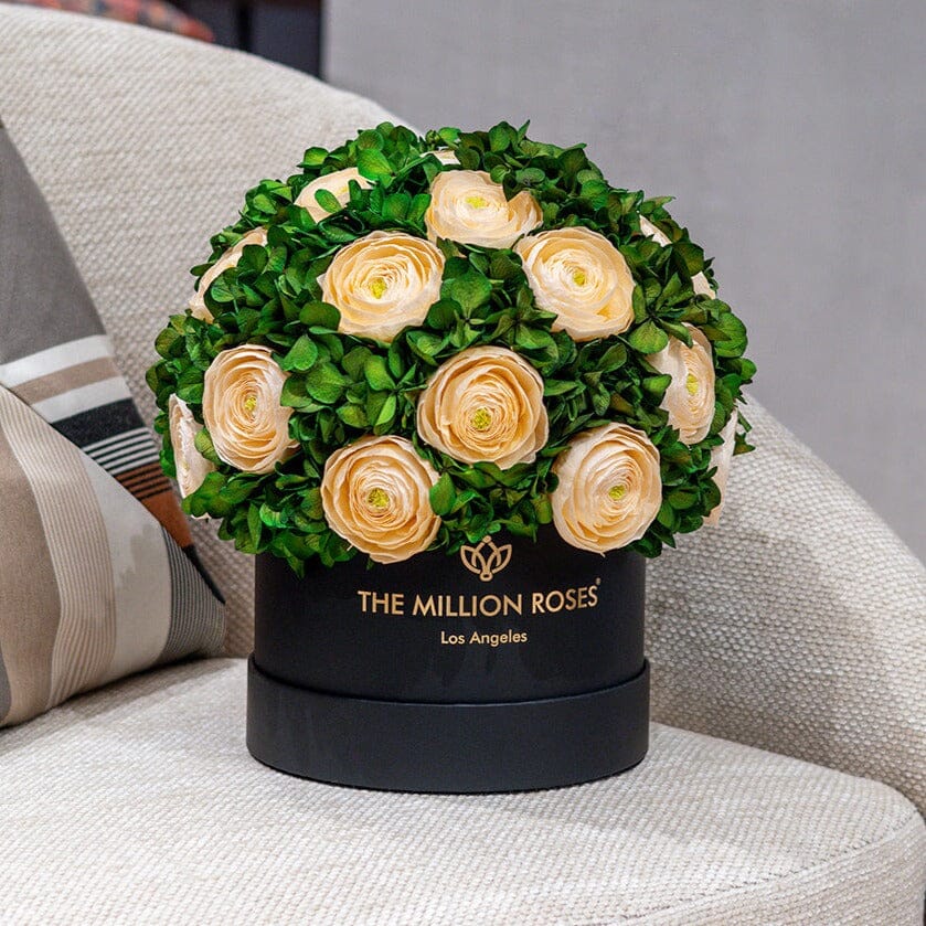 Classic Black Box bouquet with peach Persian buttercups and green hydrangeas on Tampa Home & Garden Store