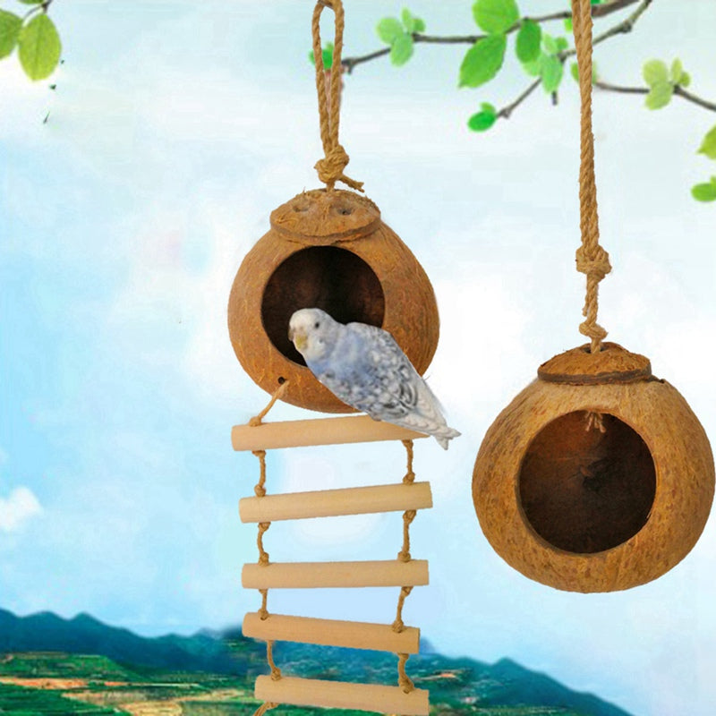 Natural coconut shell bird nest swing set with two hanging nests and wooden rope ladder on Tampa Home & Garden Store