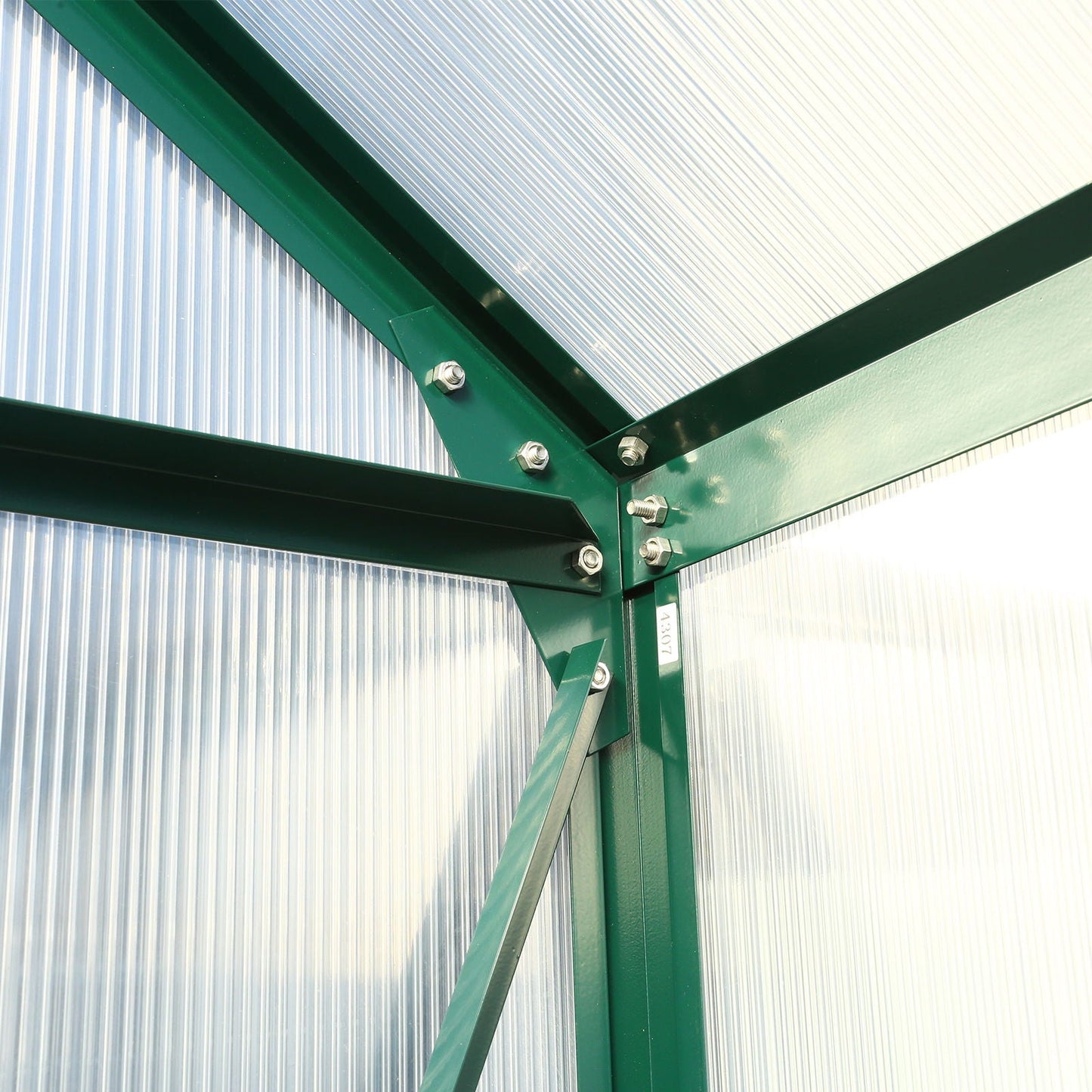 Heavy Duty Polycarbonate Greenhouse Kit and Door