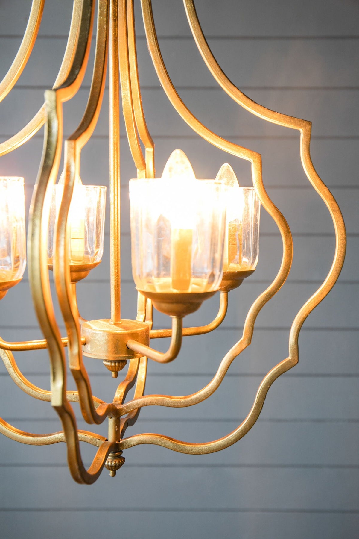 4 Light Gold Metal Chandelier with curved arms and glass cup shades HouseOfZazla on Tampa Home & Garden Store
