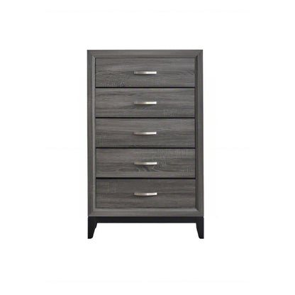 5-Drawer Dovetail Accent Chest in gray and white by HouseOfZazla with silver handles on Tampa Home & Garden Store