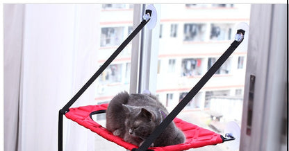 Cat window hammock perch in red quilted fabric with black frame; kitten resting on Tampa Home & Garden Store