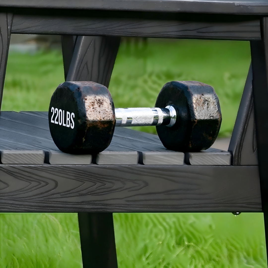 Dumbbell weights on a dark wooden bench with chrome grip and 220 LBS label, outdoor scene on Tampa Home & Garden Store