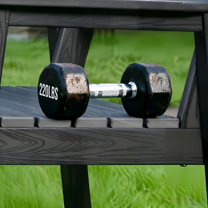 Dumbbell weights on a dark wooden bench with chrome grip and 220 LBS label, outdoor scene on Tampa Home & Garden Store