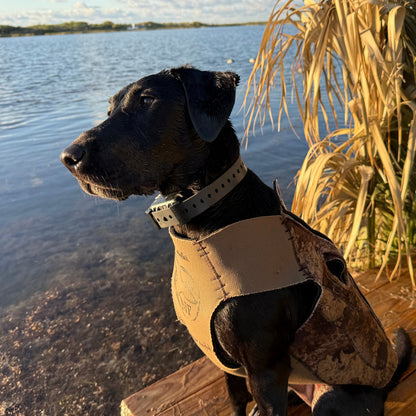 Training Collar Setup Hoss Straps tan hunting dog collar with perforated nylon strap on Tampa Home & Garden Store