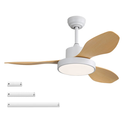 Ceiling fan by HouseOfZazla with 22W LED light, white finish, natural wood blades on Tampa Home & Garden Store