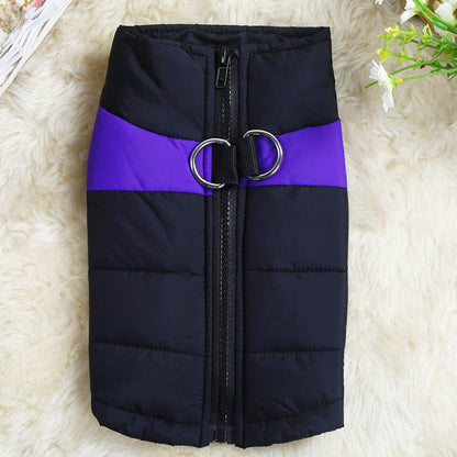 Dog winter coat vest, quilted navy with purple stripe, front zipper and D-rings on Tampa Home & Garden Store