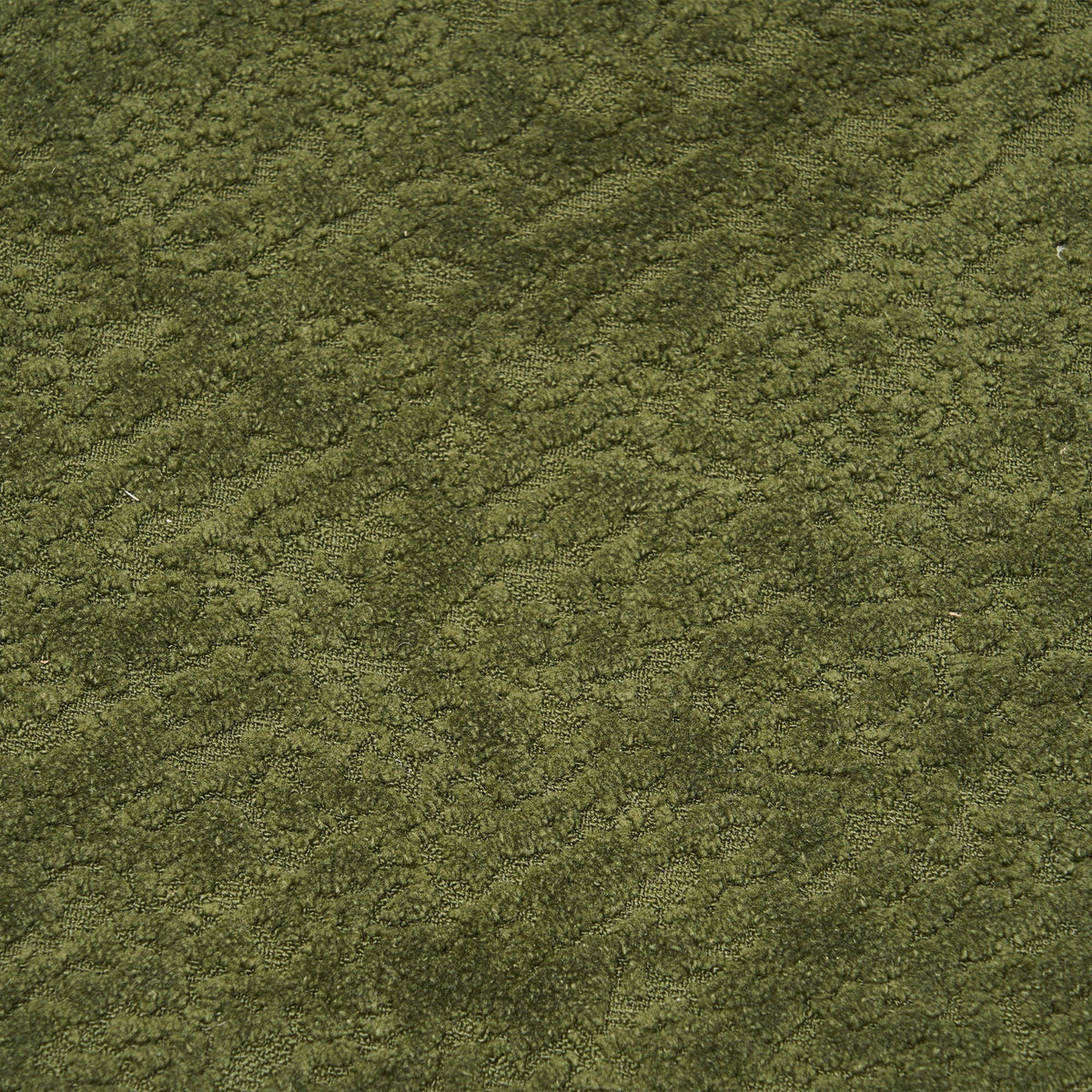 Carpet close-up in textured green fibers on Tampa Home & Garden Store