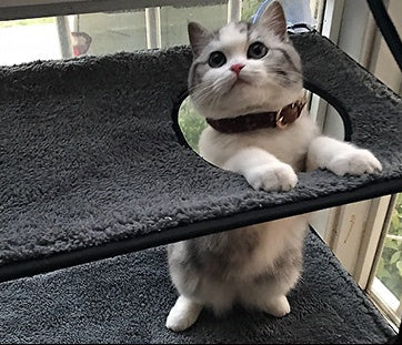 Gray plush cat hammock bed with circular entrance and cozy perch on Tampa Home & Garden Store