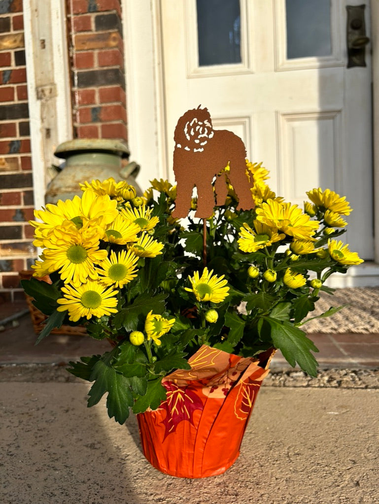 Labradoodle plant stake in metal among yellow mums in orange pot Rustica Ornamentals on Tampa Home & Garden Store
