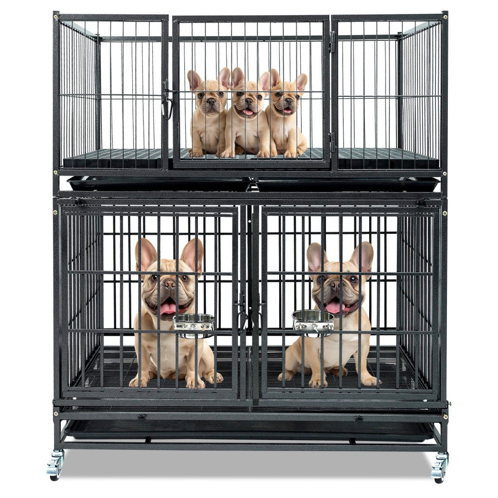42-inch stackable dog crate 43T+WHLP02 on wheels with two levels and five French bulldogs on Tampa Home & Garden Store