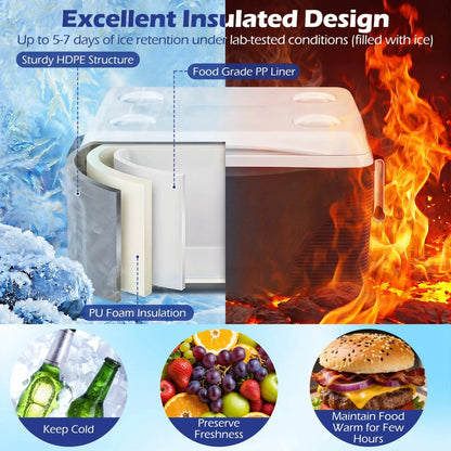 43 Quart Portable Hard Cooler With Cupholders