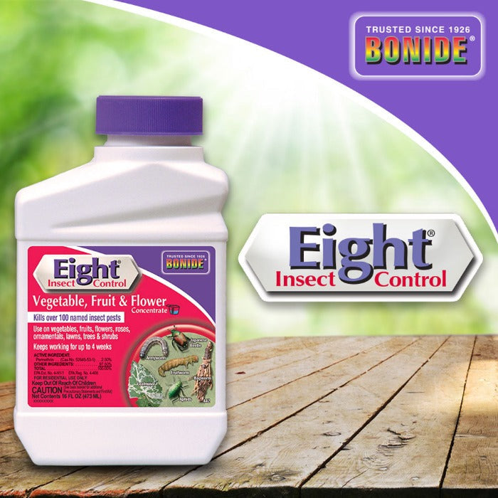 Bonide Eight Spray Concentrate bottle with purple cap, white plastic, Eight Insect Control label on Tampa Home & Garden Store