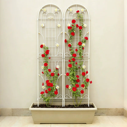 Metal Garden Trellis for Climbing Plants Outdoor