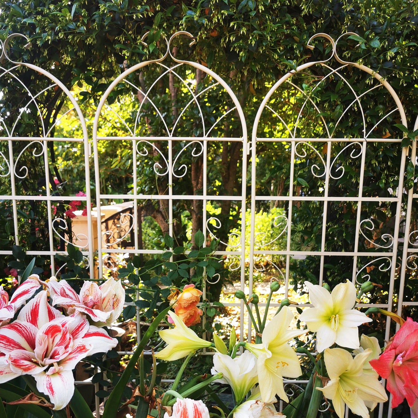 Metal Trellis For Climbing Plants And Vines