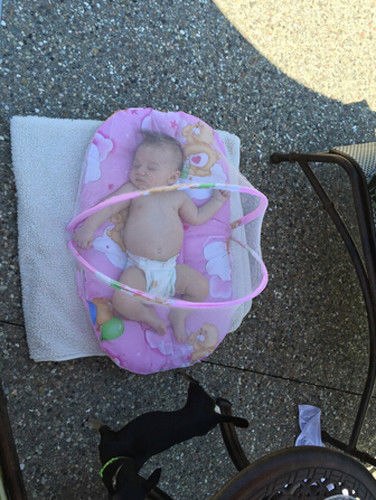 Portable foldable baby bed with pink dot-pattern cushion and mosquito-net tent for infant safety on Tampa Home & Garden Store