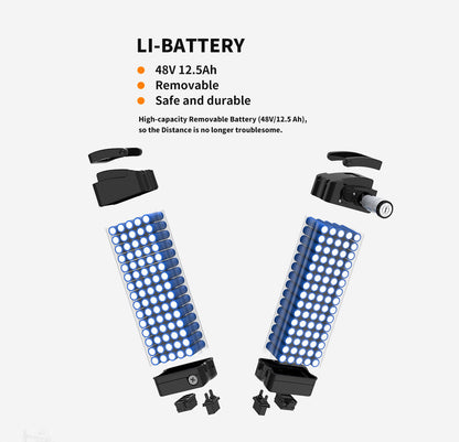 Li-battery 48V 12.5Ah removable bike battery packs, two, dual blue cells UpTrend Deals on Tampa Home & Garden Store