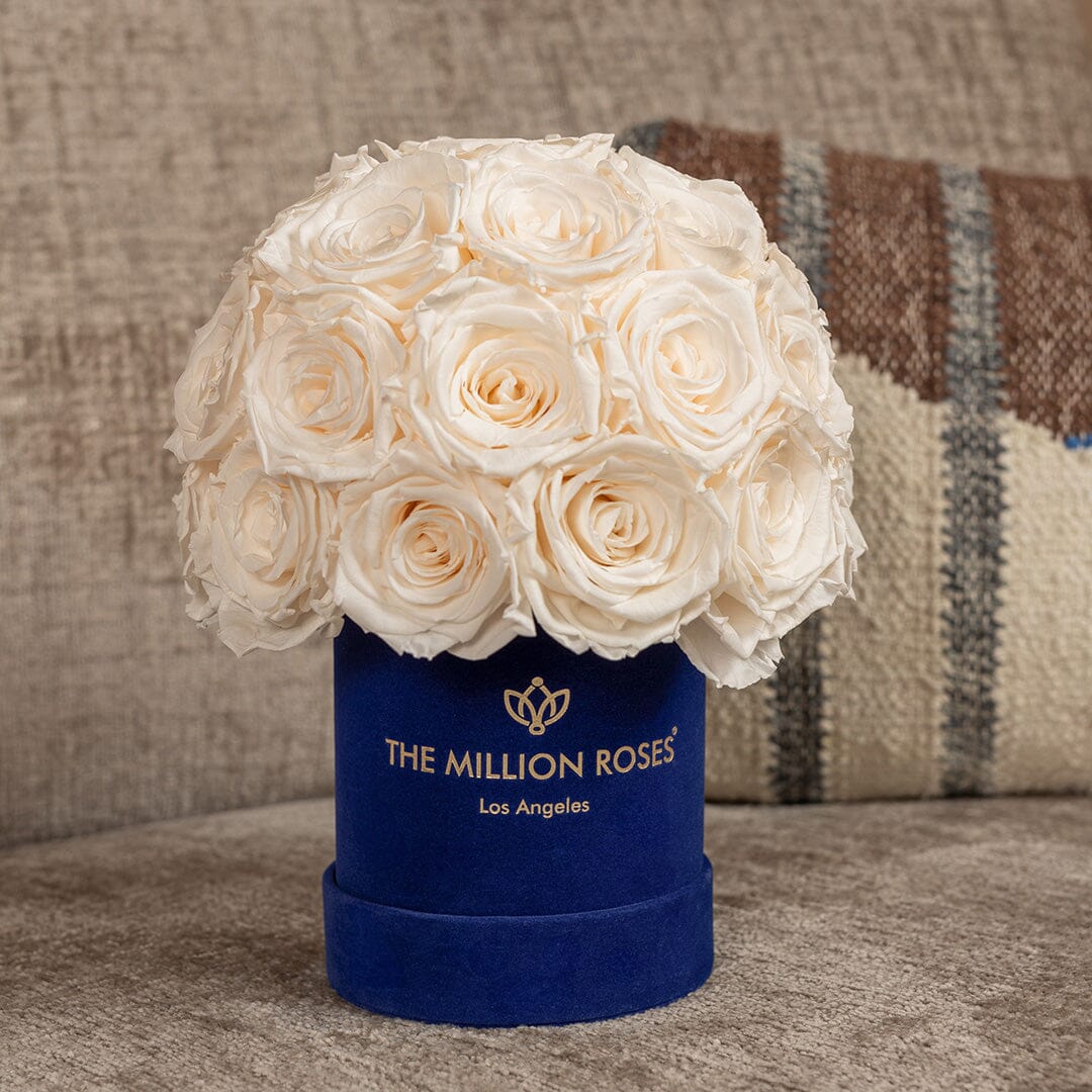 Essence Royal Blue Suede Superdome Box filled with ivory white roses by The Million Roses on Tampa Home & Garden Store