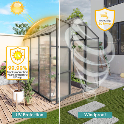 Windproof greenhouse with raised base, black frame, polycarbonate panels, HouseOfZazla on Tampa Home & Garden Store
