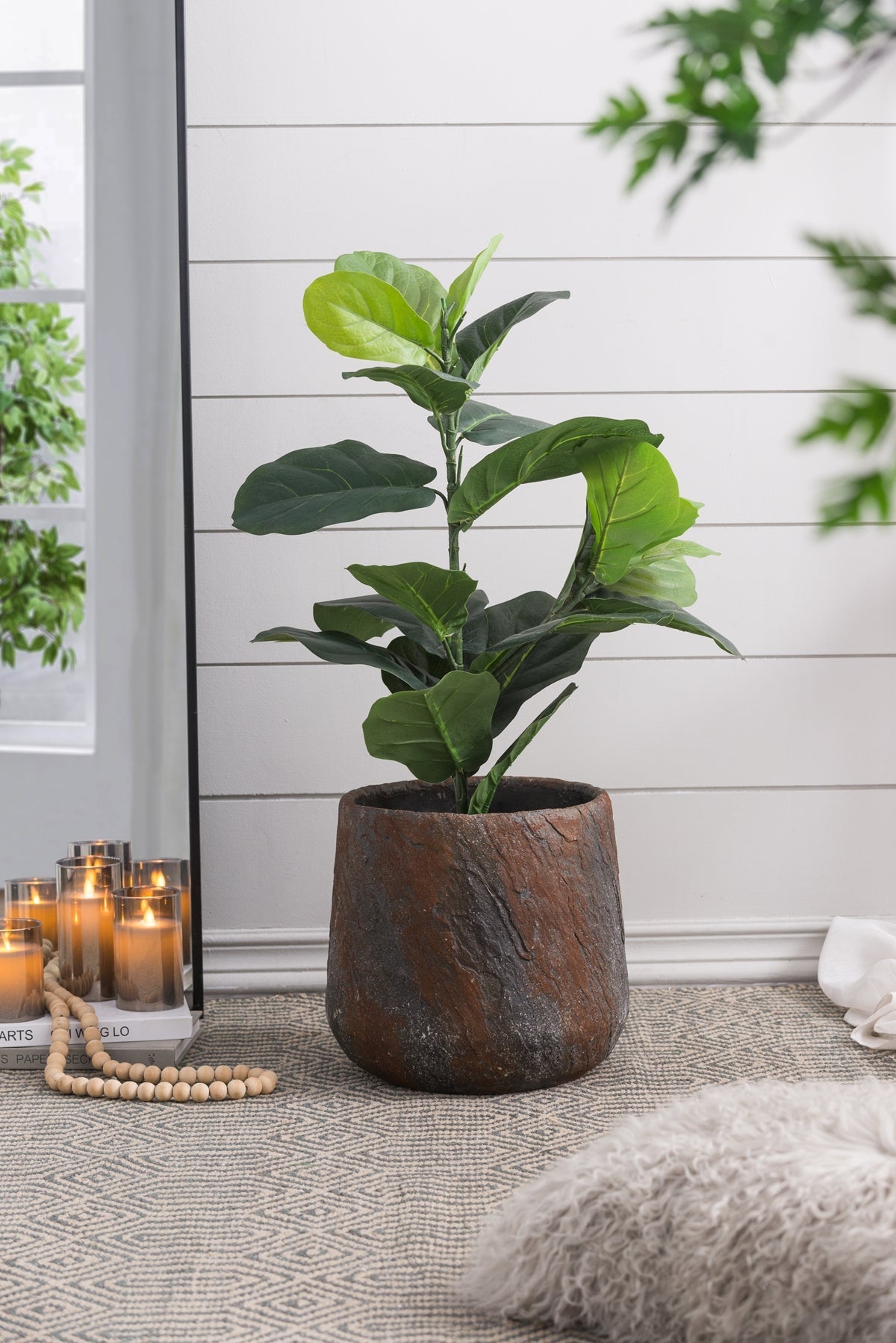 HouseOfZazla cement planter, dark textured pot for indoor outdoor decor with rubber plant on Tampa Home & Garden Store