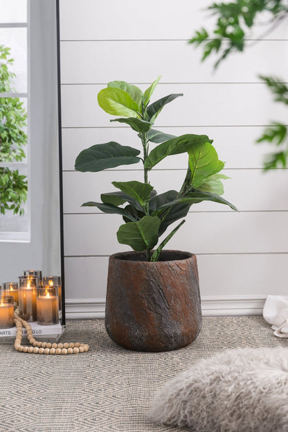HouseOfZazla cement planter, dark textured pot for indoor outdoor decor with rubber plant on Tampa Home & Garden Store