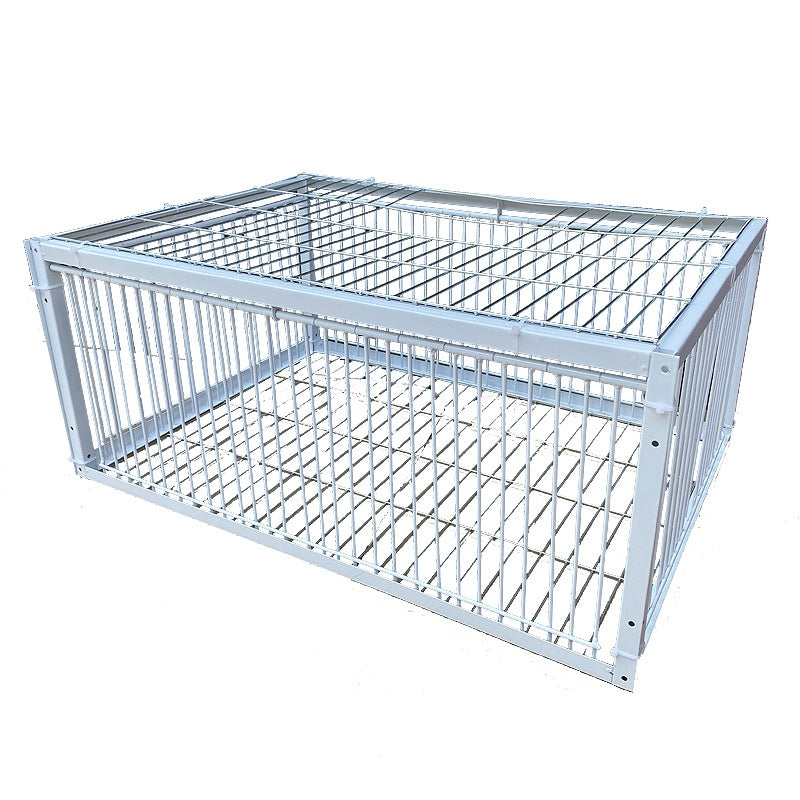 Pigeon Active Network Door Encrypted Return Cage large silver metal bird cage with grid bars on Tampa Home & Garden Store