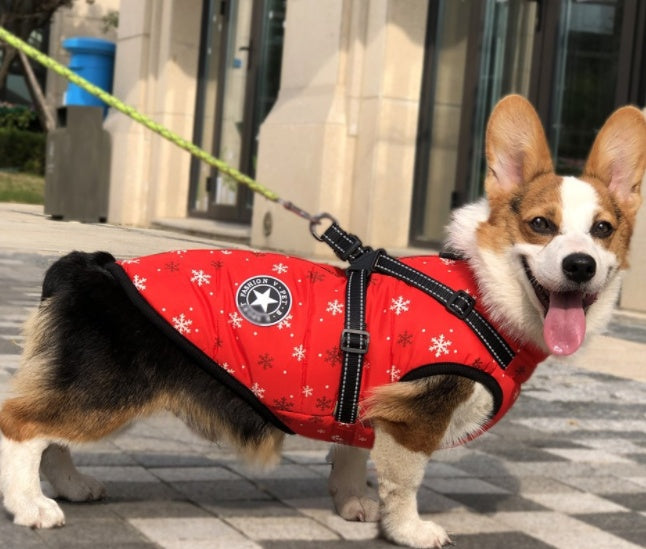 Pet Zen red winter hooded dog coat for small dogs with snowflake print on Tampa Home & Garden Store